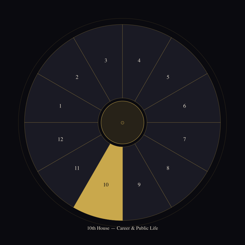The 10th House: What the World Sees You Build — house wheel position