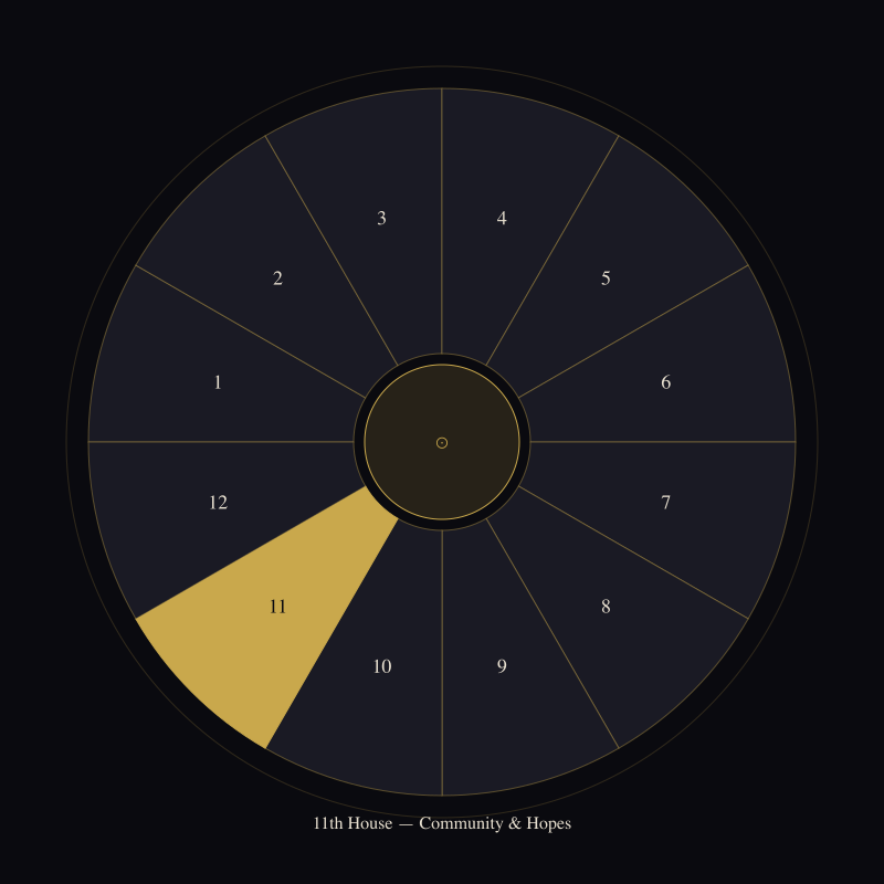 The 11th House: The People You Choose and the Future You Want — house wheel position