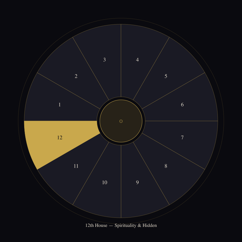 The 12th House: What You Cannot See But Cannot Escape — house wheel position