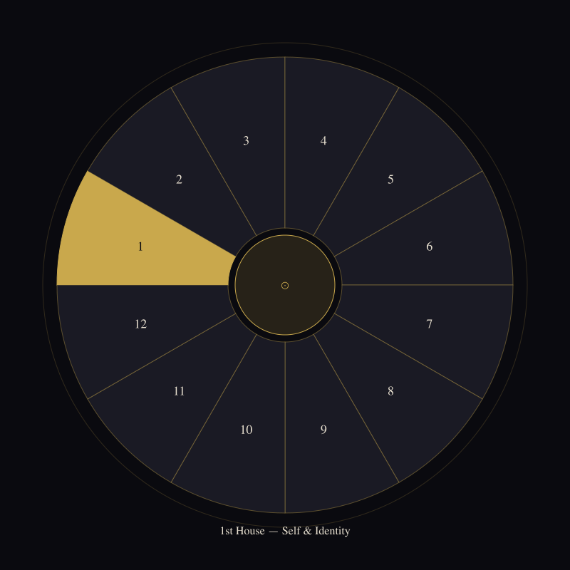The 1st House: Where You Begin — house wheel position