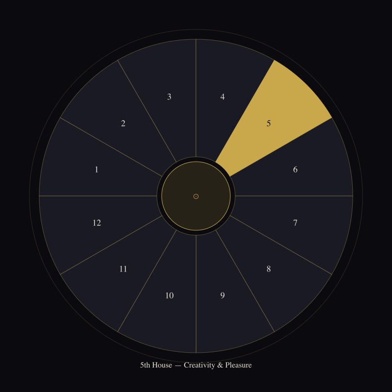 The 5th House: What You Create and Who You Love — house wheel position