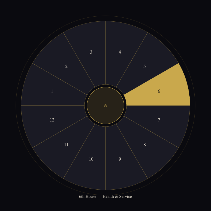 The 6th House: The Work That Keeps You Running — house wheel position