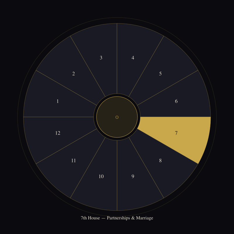 The 7th House: The Mirror You Marry — house wheel position
