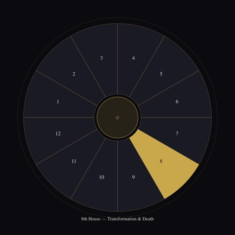 The 8th House: What You Cannot Look Away From — house wheel position