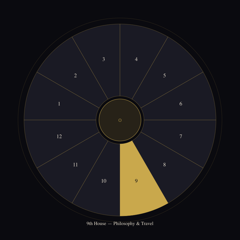 The 9th House: Where You Search for Meaning — house wheel position